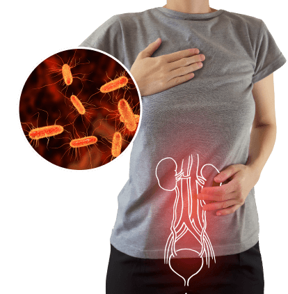 CystiNorm no ofrece ninguna posibilidad de infección.